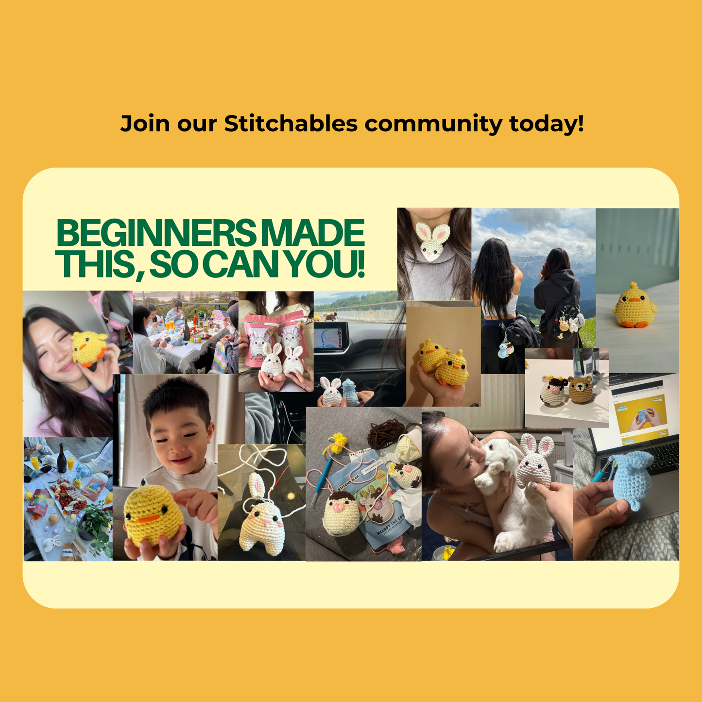 Cat Crochet Kit (Chester)