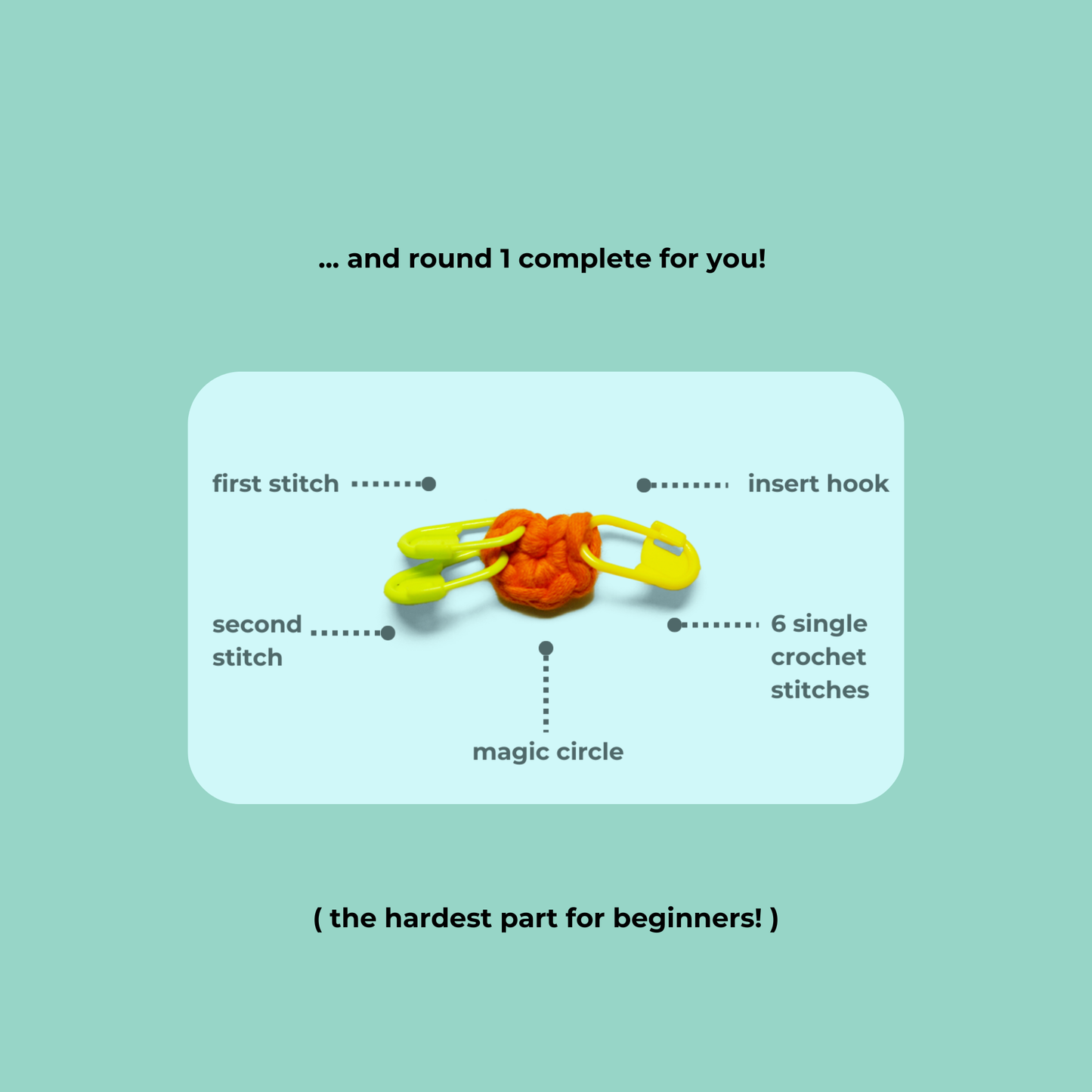 Capybara Crochet Kit (Churro)